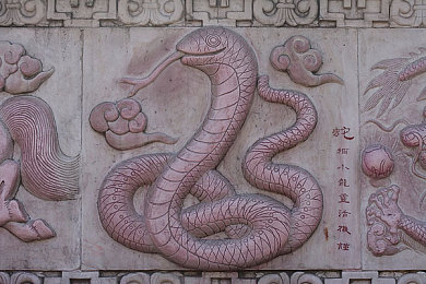 果树园里儿媳妇的背景故事＼“情牵果园，智慧传承，和谐家园的美丽篇章”-3