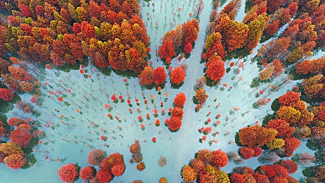 h动漫3d＼未来视界探秘，创意动画盛宴来袭-3