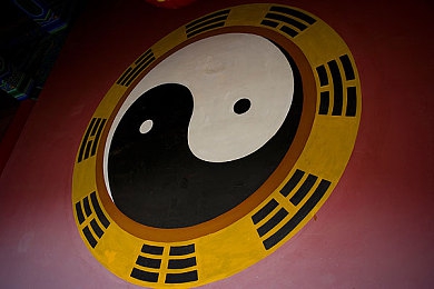 天天干天天碰＼轻松互动新游戏，＂天天乐＂体验无限欢乐，快来加入吧！-5