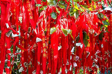 幸福宝8008免费章节阅读功能介绍＼畅游书海，邂逅知音——免费小说阅读乐园-2