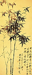 免费b站大全永不收费2024年更新＼畅享无界，B站2024新篇章，海量免费资源，用户心悦诚服体验升级-3