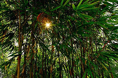 抖音富二代＼网络炫富新潮流，价值多元财富新风向-2