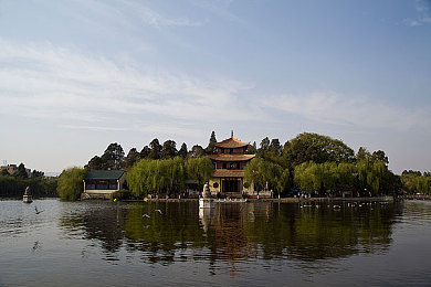 黄色应用下载3.33＼网络迷雾破，清朗空间守，共筑安全墙-5