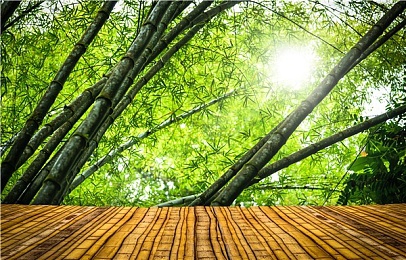 黄色软件2021＼净网先锋，2021守护清朗网络家园-4