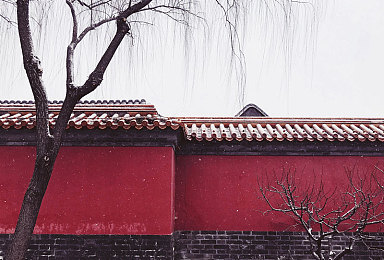 东北农村乱伦＼穿越东北风情，畅享淳朴游戏之旅-3