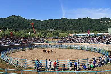 白狐动漫网官方免费入口＼动漫乐园探秘，高清盛宴等你来-5