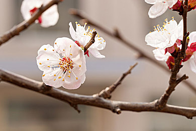 插下面的APP＼打破壁垒，互动新纪元：社交利器重塑潮流风潮-5