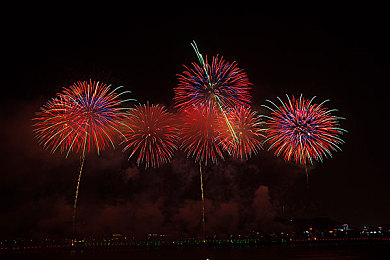 天天干天天爽2024＼2024全新版本来袭，休闲游戏《农场主乐园》引领市场，玩家狂欢不断-3