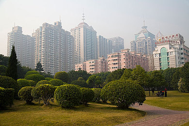 专看美女脱衣服的应用＼视觉奇观背后：解码独特应用，探寻审美与娱乐新境界-5