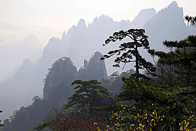 三上av＼虚拟仙境探秘，三上技术铸就娱乐新篇章-3