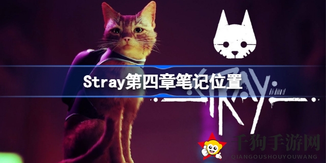 《Stray》第四章：笔记本寻踪之旅，揭开神秘面纱