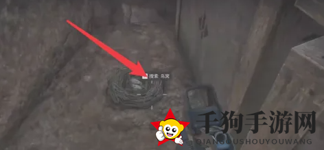 《三角洲行动》鸟窝搜索方法