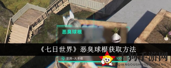 《七日世界》神秘恶臭球棍获取攻略深度揭秘，种植洋葱邂逅独特战斗异维收容物