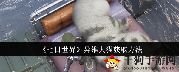 《七日世界》捕捉异维大猫攻略：神秘宠物养成记
