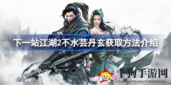 《下一站江湖2》揭秘：神秘丹药不水芸丹获取攻略，助力江湖高手一跃而成