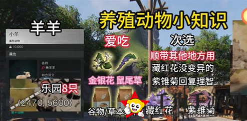 《七日世界》动物捕猎指南