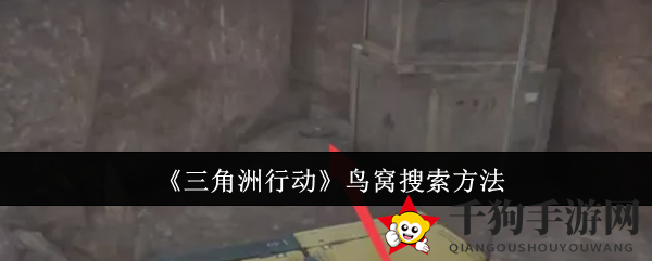 《三角洲行动》探秘：鸟窝宝藏搜寻秘籍大公开