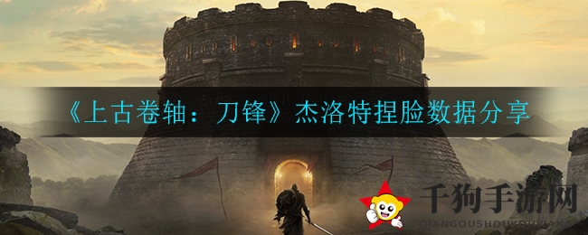 《上古卷轴：刀锋》杰洛特形象打造攻略深度解析，捏脸数据揭秘大公开