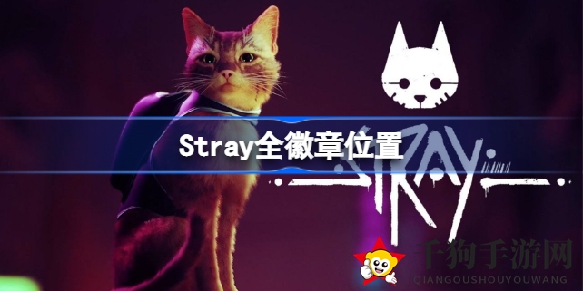 《Stray》全徽章寻宝攻略：猫咪冒险家解锁宝藏之旅